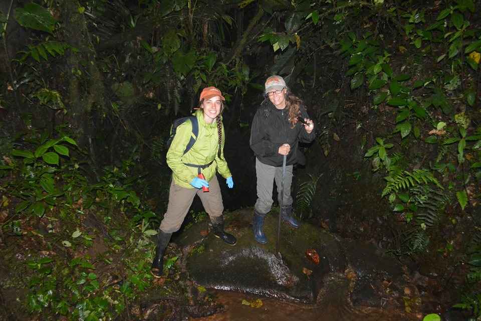 NASA's Michigan Space Grant Consortium Fellowship Opportunities